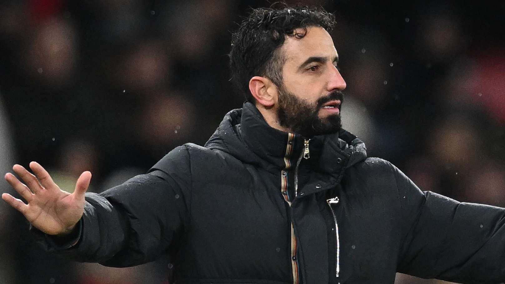 这为比利时 这为比利时